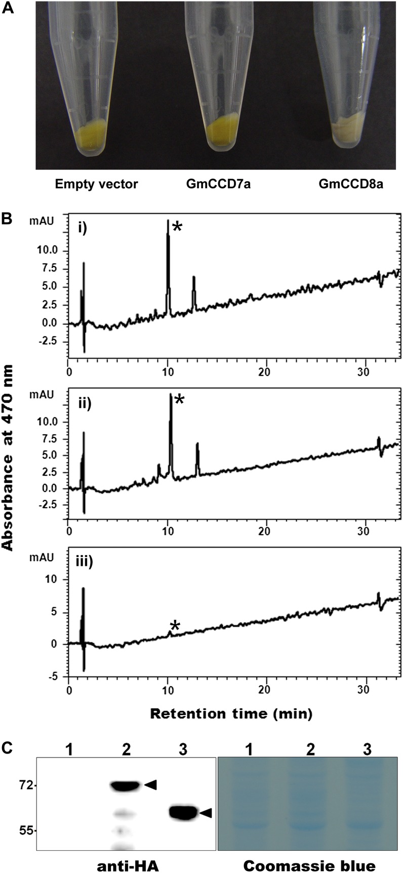 Figure 9.