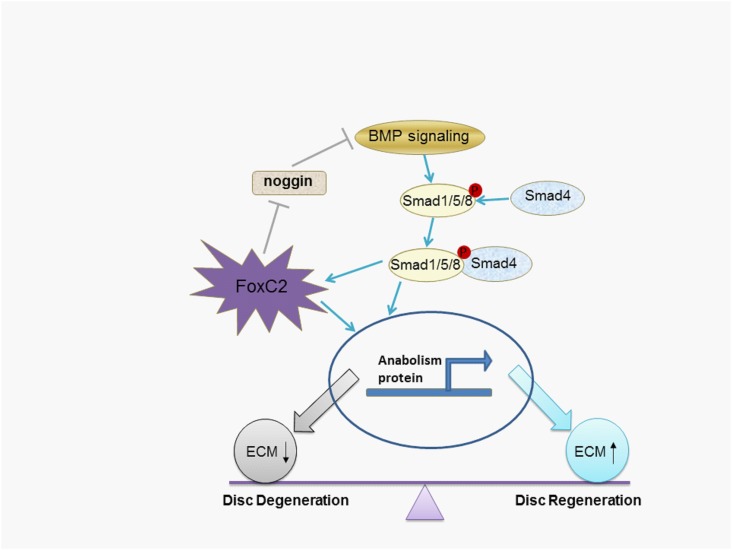 Fig 7