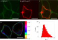 FIG 5