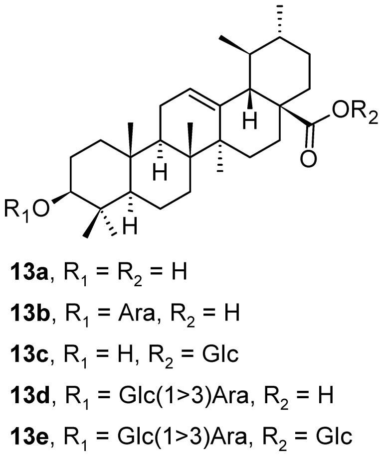 Figure 13