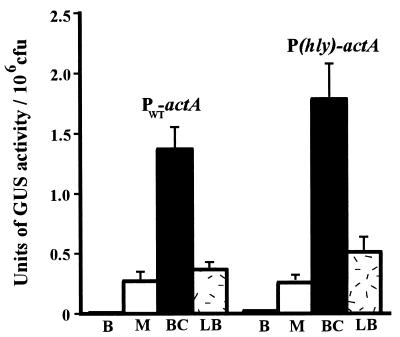 FIG. 5.