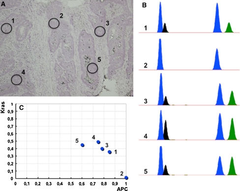 Fig. 1