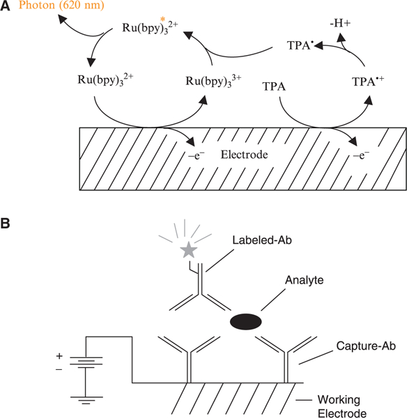 Fig. 10.