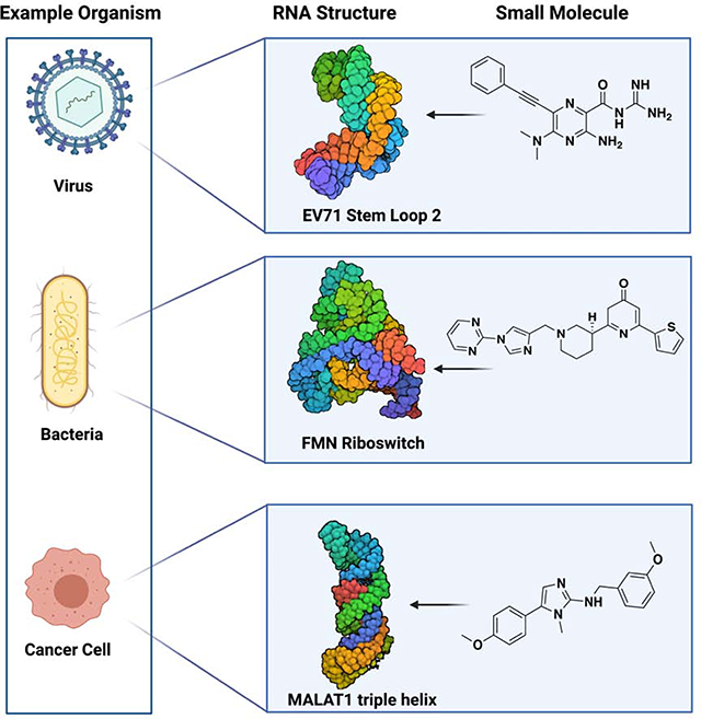 graphic file with name nihms-1683234-f0001.jpg