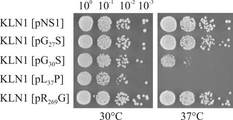 FIG. 2.