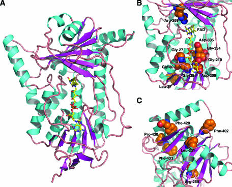 FIG. 7.