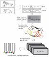 Fig. 4