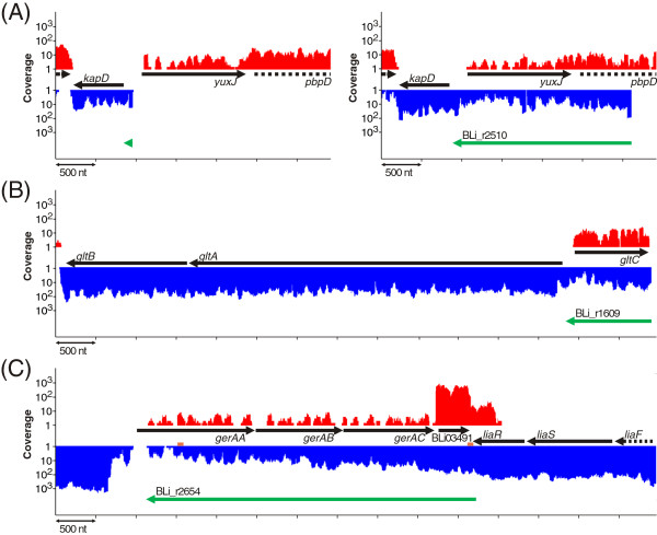 Figure 6