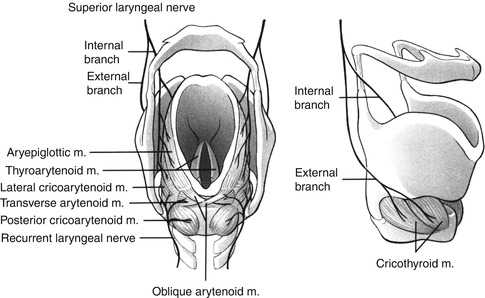 Fig. 4.4