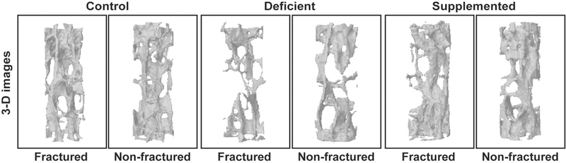 Fig. 5