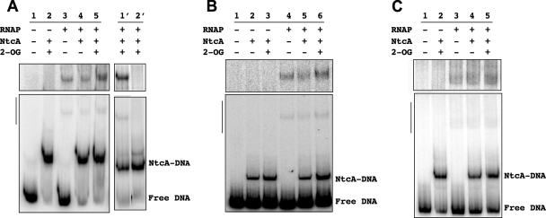 FIG. 3.