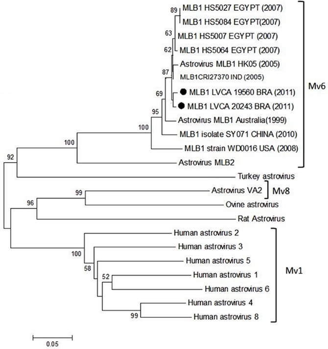 Fig 4