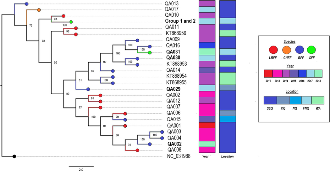 FIGURE 3