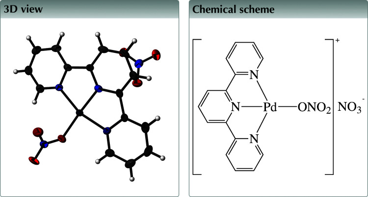 graphic file with name x-06-x210085-scheme1-3D1.jpg