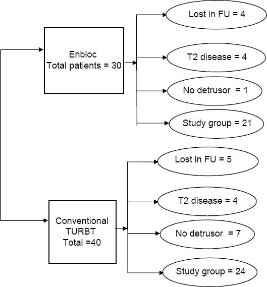 Graph 1