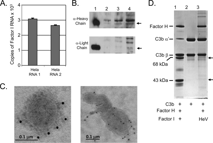 FIG 6