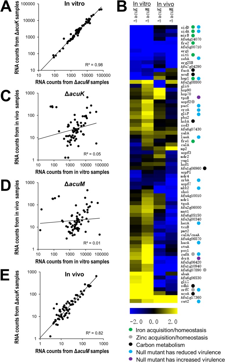 FIG 6