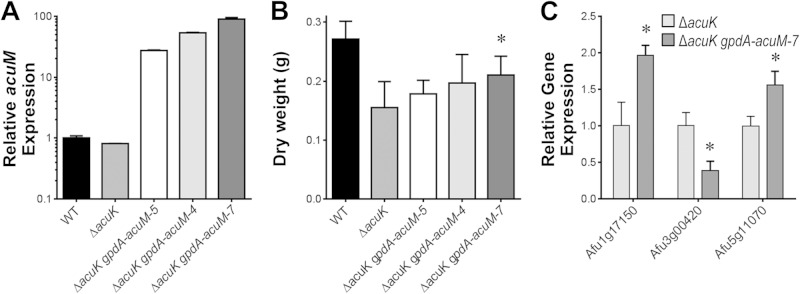 FIG 7