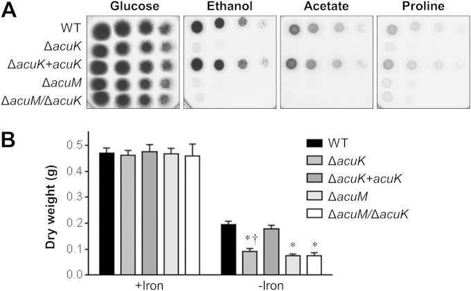 FIG 1