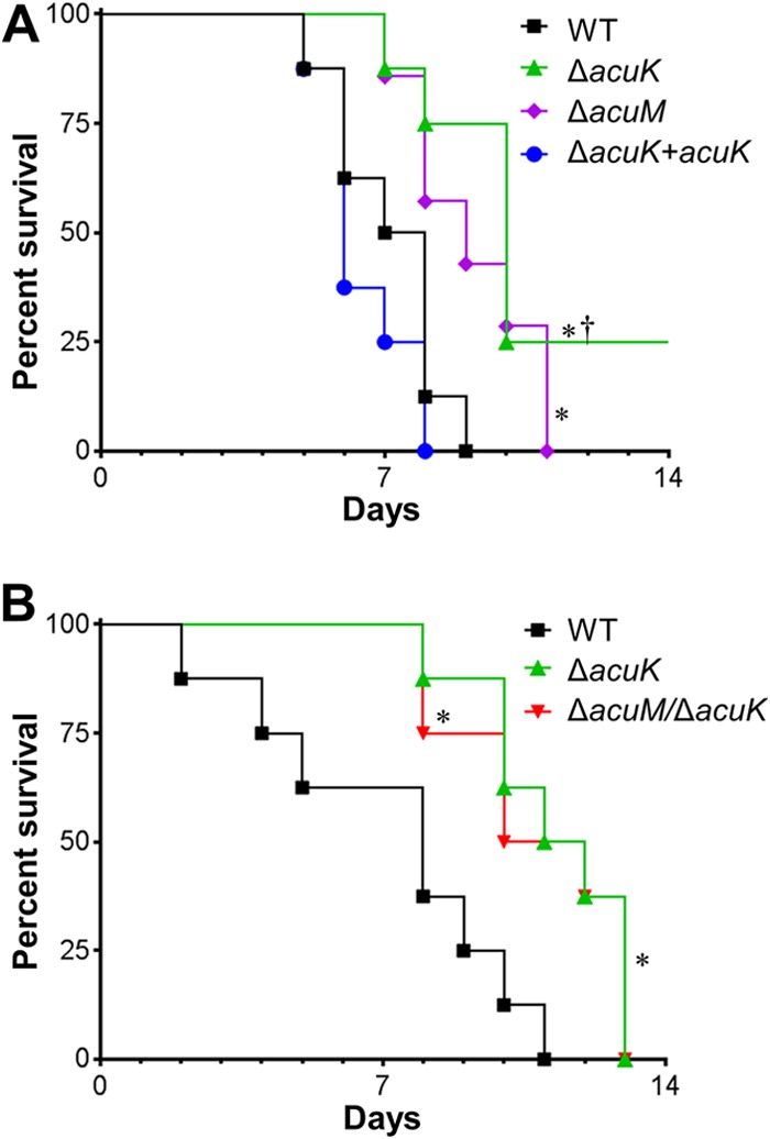 FIG 4