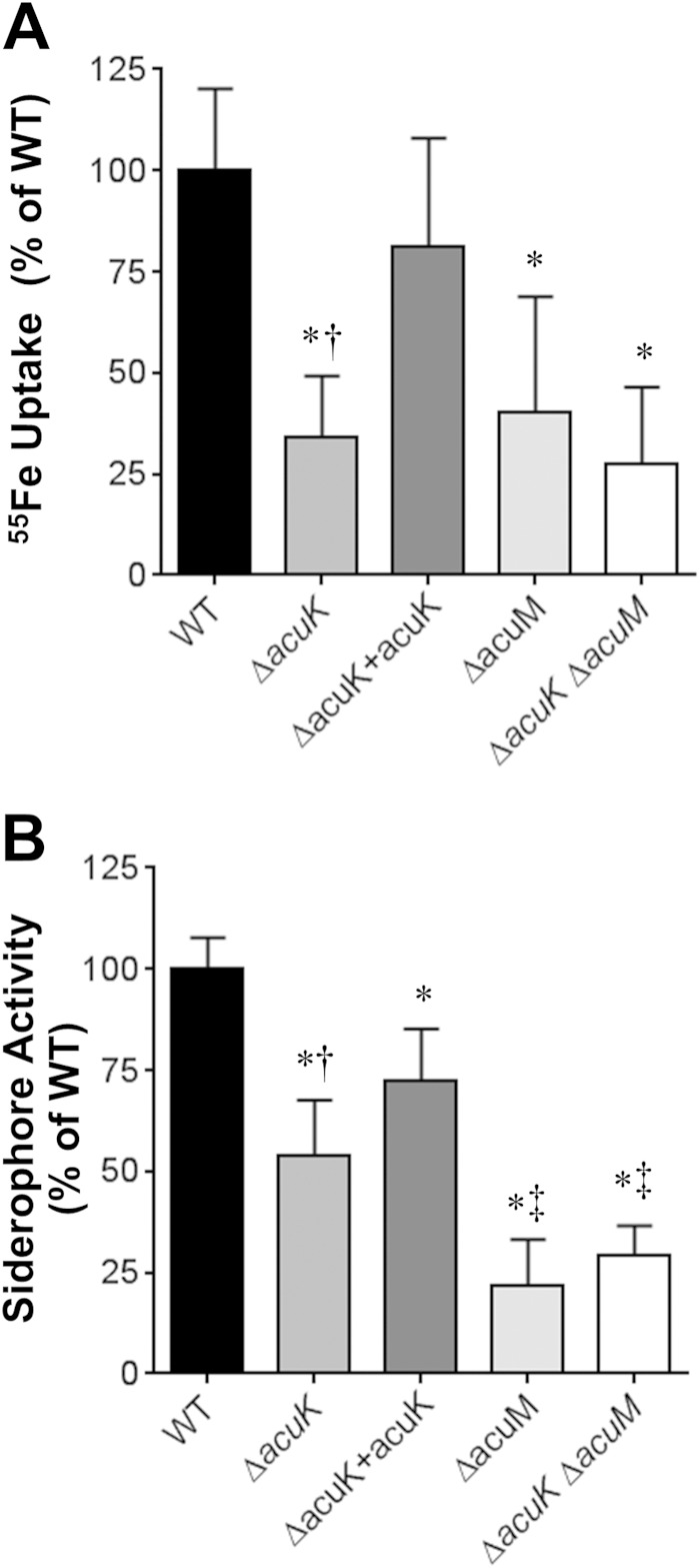 FIG 2