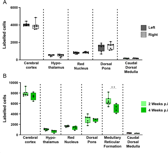 Figure 1—figure supplement 3.