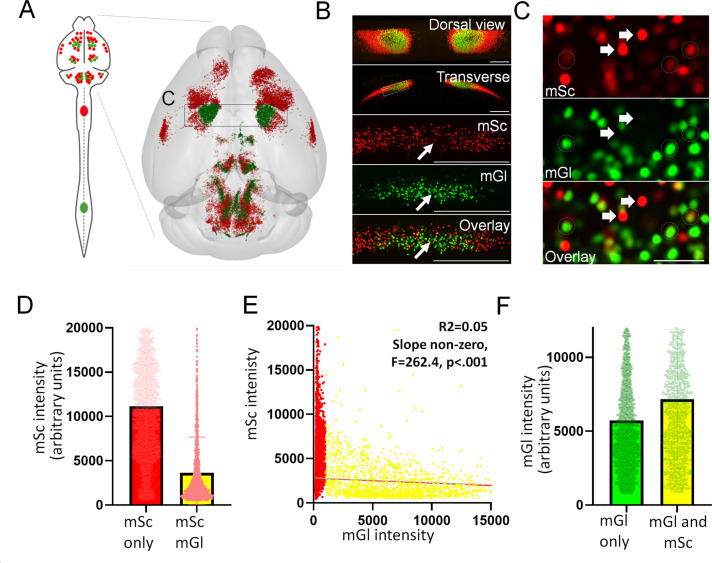 Figure 3—figure supplement 3.