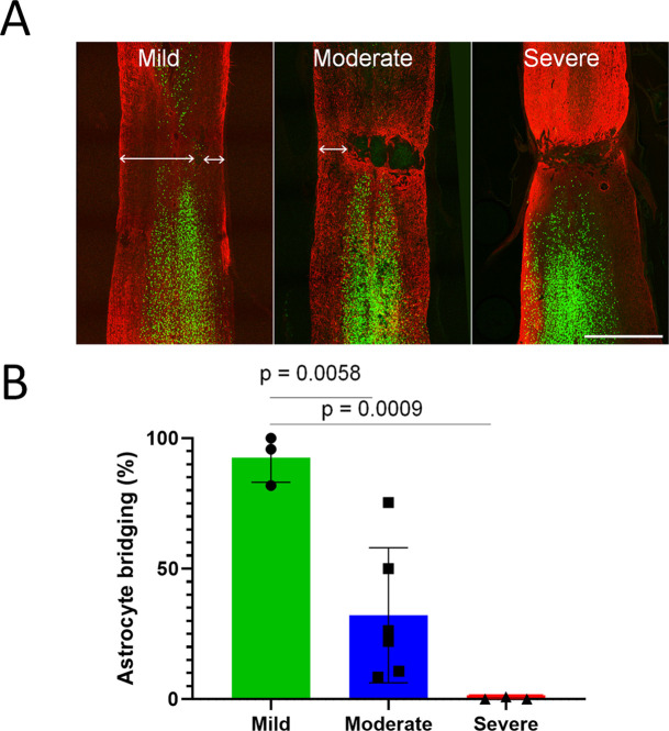 Figure 5—figure supplement 2.