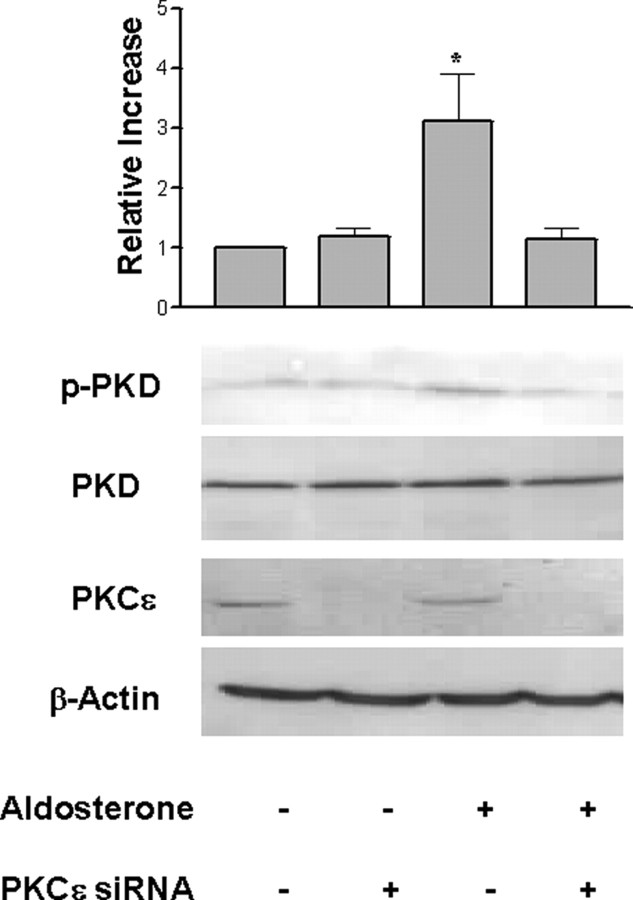 Fig. 9.