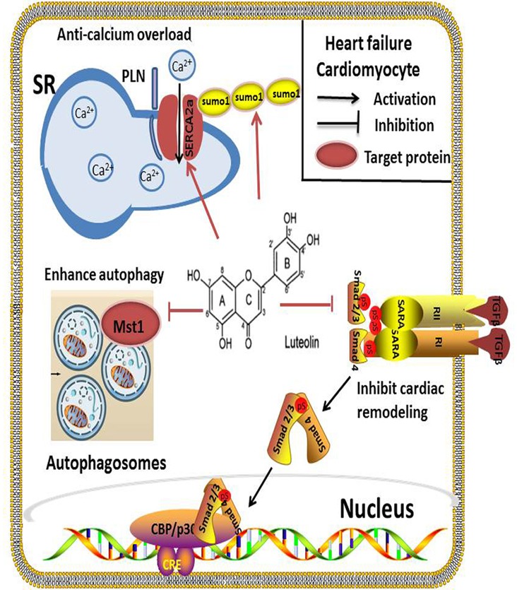 FIGURE 3