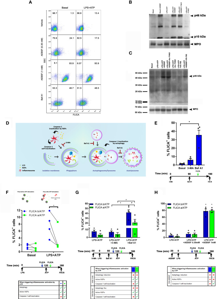 Figure 4