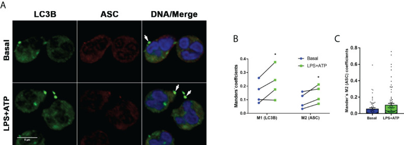 Figure 3