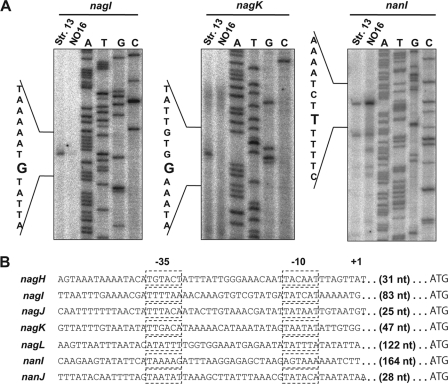 Fig. 8.