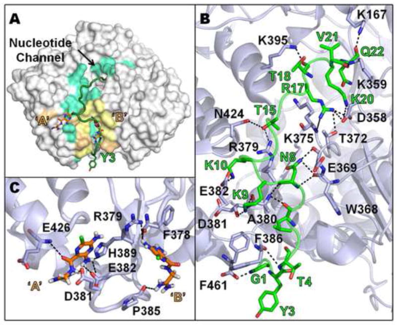 Fig. 7