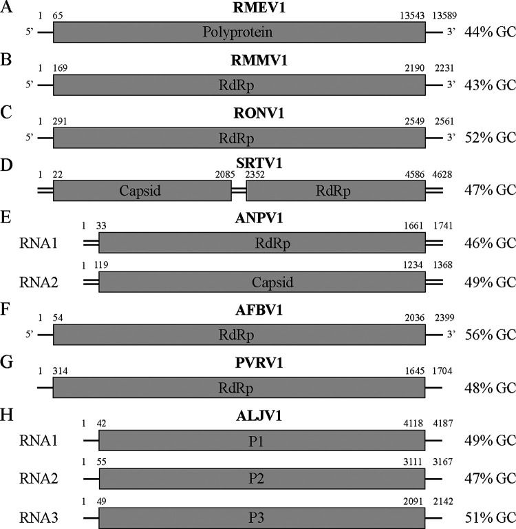 FIG 1