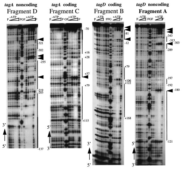 FIG. 4