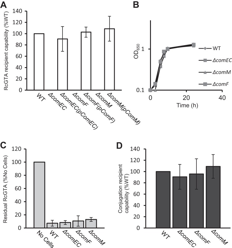 FIG 2