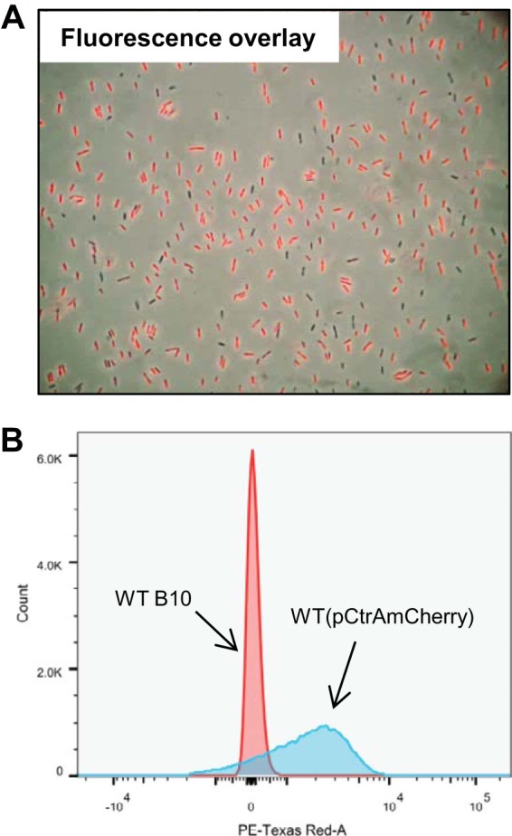 FIG 4