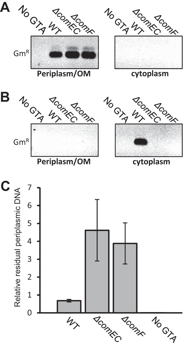 FIG 3