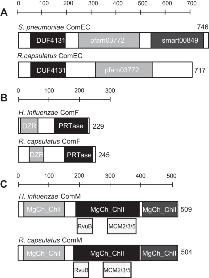 FIG 1