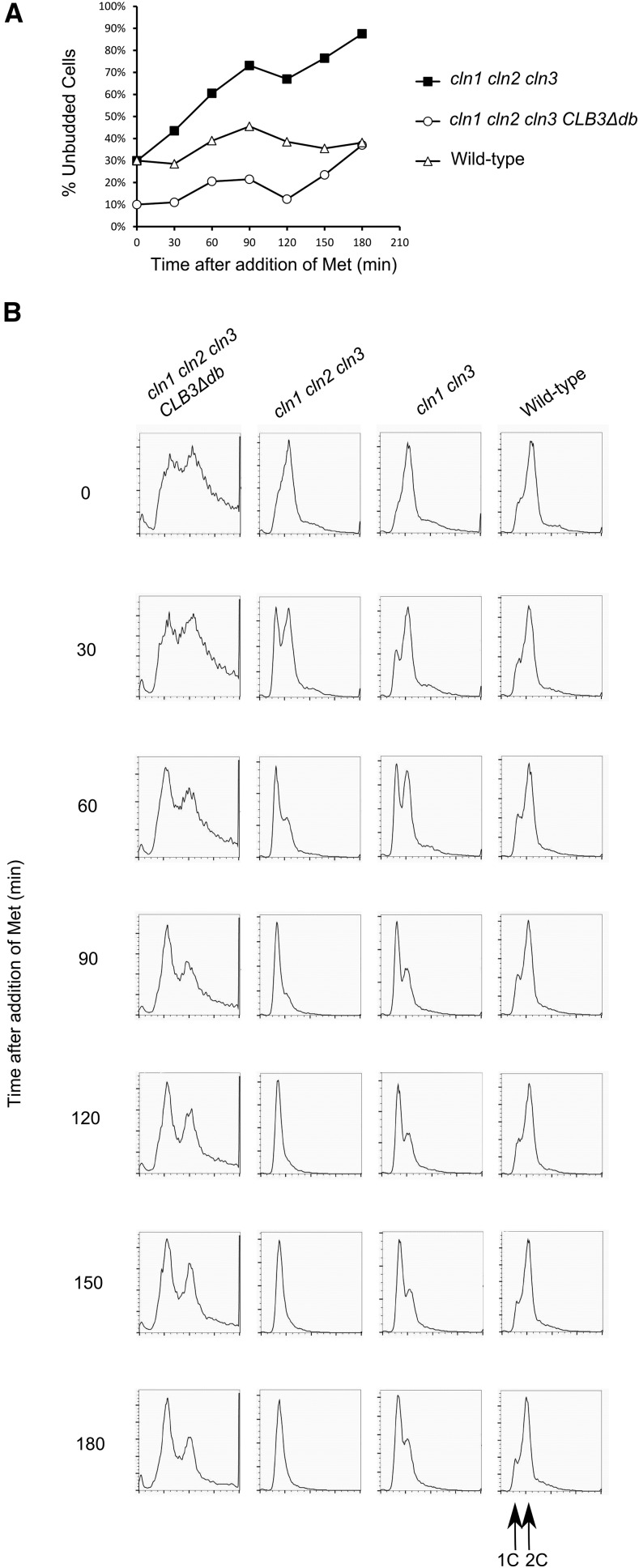 Figure 10