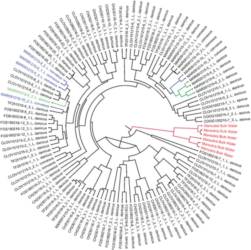 FIGURE 2