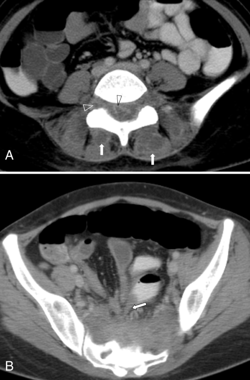 Figure 2)