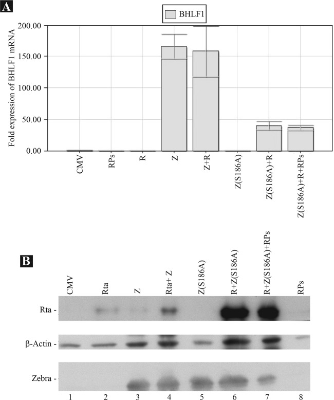 Fig 10