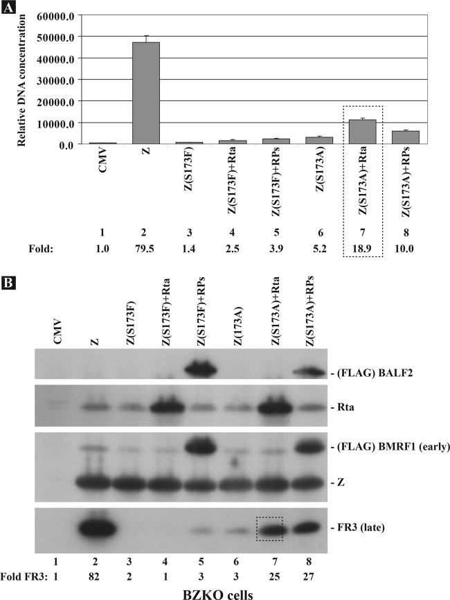 Fig 4