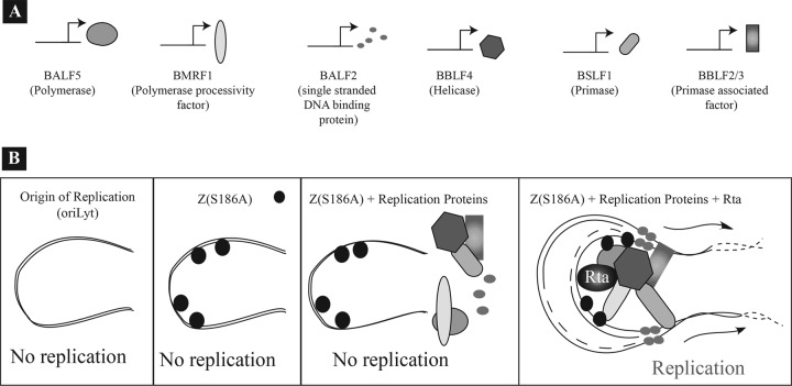 Fig 11