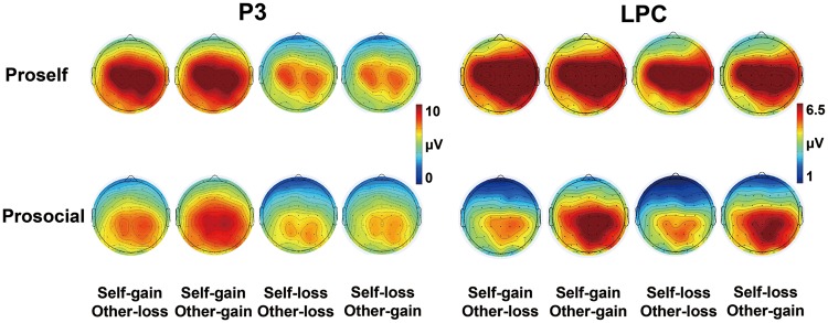 Fig. 3.