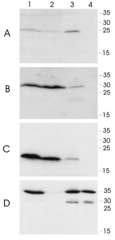 FIG. 5