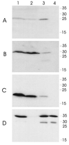 FIG. 5