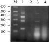 FIG. 6